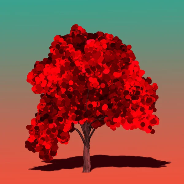 Bellissimo albero rosso isolato — Foto Stock