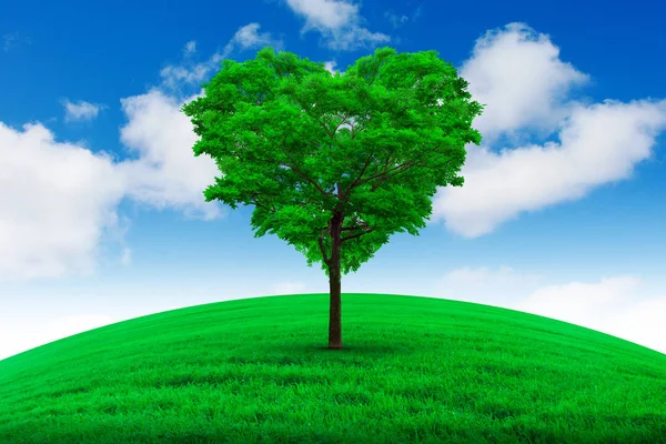 Albero a forma di cuore - Amore e concetto di natura . — Foto Stock