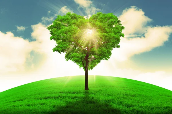 Kalp şekli ağaç - aşk ve doğa kavramı.