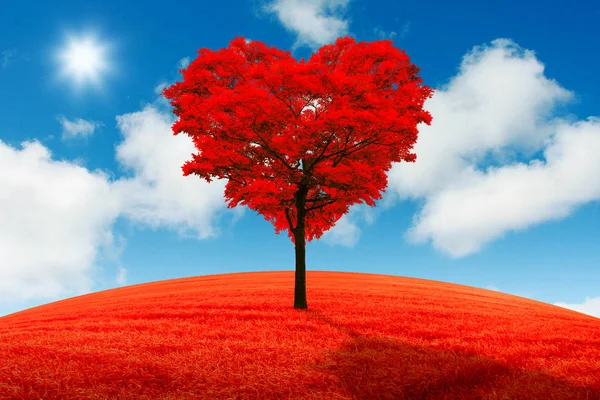 Kırmızı kalp şeklinde ağaç bir düşüş arka planı alanında.