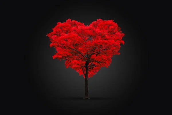 Czerwony drzewo w kształcie serca na czarnym tle — Zdjęcie stockowe