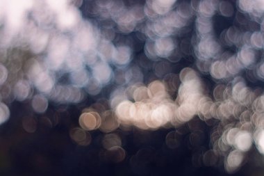 Işıkları Noel gece partisi için tasarım, vintage veya retro Renk tonlu bokeh arka plan bulanık.