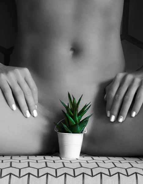 Kapalı kadın alan bikini ile yeşil çiçek.