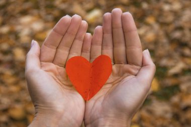 Kalp şeklinde elinde sonbahar yaprak.