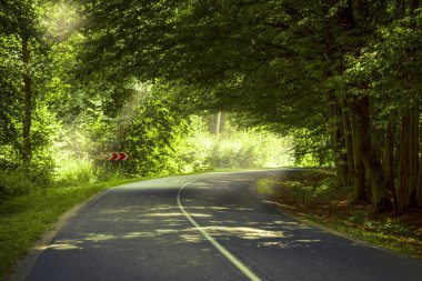 Yolun fantastik ahşap.