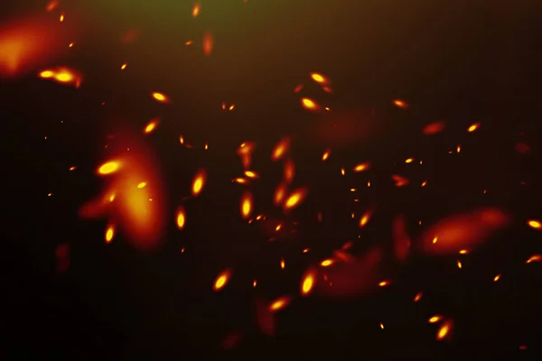 siyah bir arka plan üzerinde yol açtı.