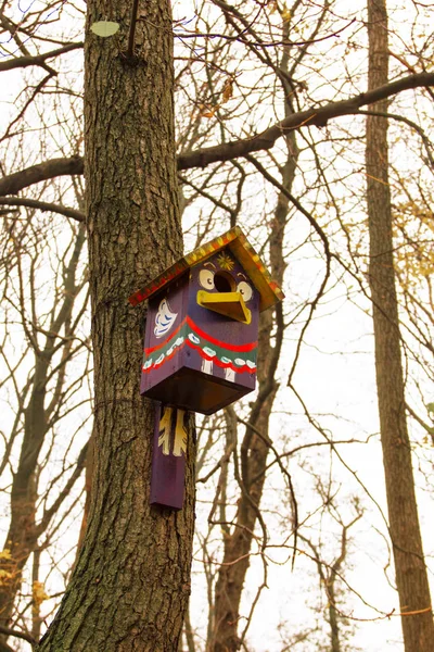 Casas de pájaros brillantes. Alojamientos para pájaros . —  Fotos de Stock