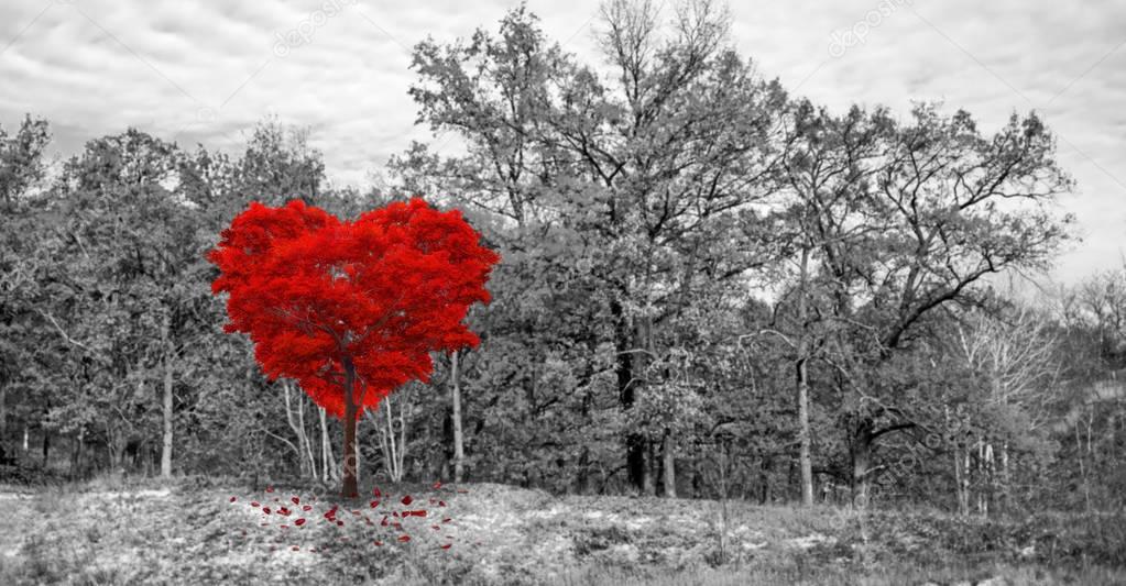 Red heart-shaped tree