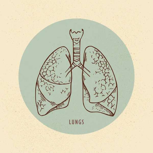 Ilustración vectorial de pulmones humanos dibujados en estilo retro con fondo — Archivo Imágenes Vectoriales