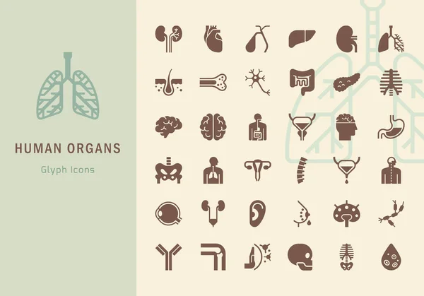 Gran conjunto vectorial de iconos sobre el tema médico de los órganos humanos internos . — Archivo Imágenes Vectoriales