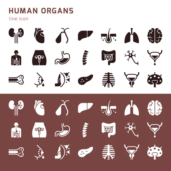 Large vector set of icons on the medical theme of internal human organs. — Stock Vector