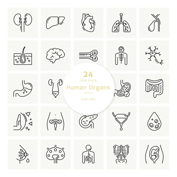 Conjunto de iconos vectoriales de órganos humanos internos en un estilo lineal aislado . — Archivo Imágenes Vectoriales