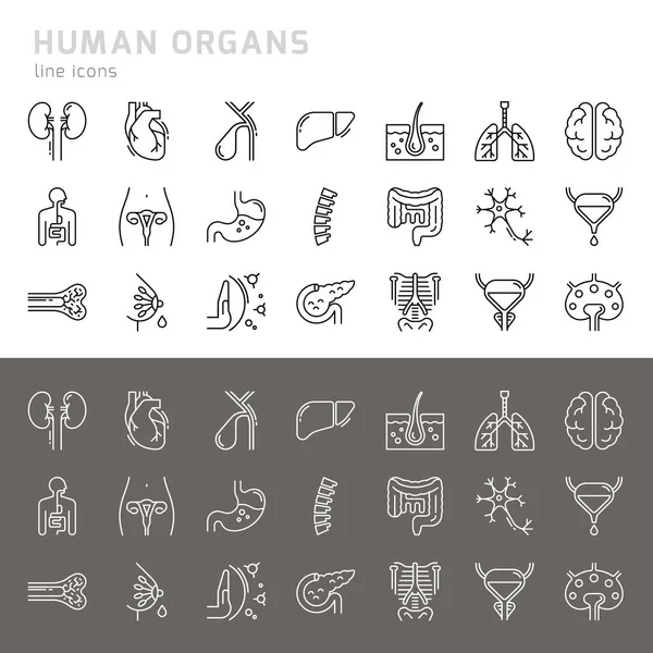 Gran conjunto vectorial de iconos sobre el tema médico de los órganos humanos internos . — Vector de stock