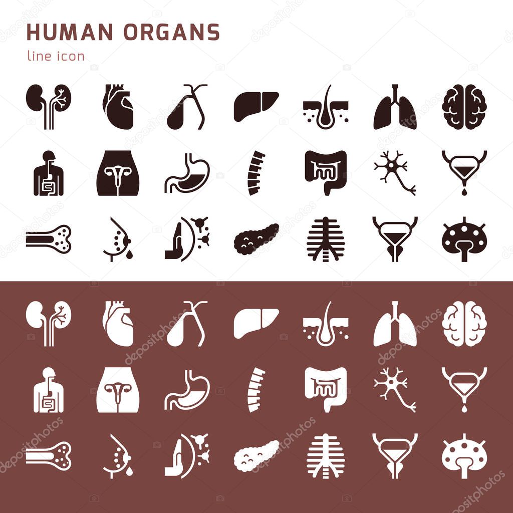 Large vector set of icons on the medical theme of internal human organs.