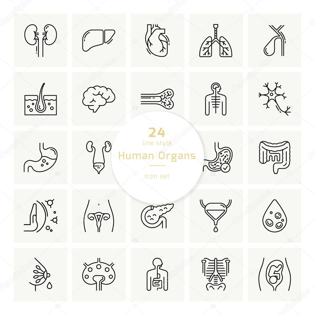 Set of vector icons of internal human organs in a linear style isolated.