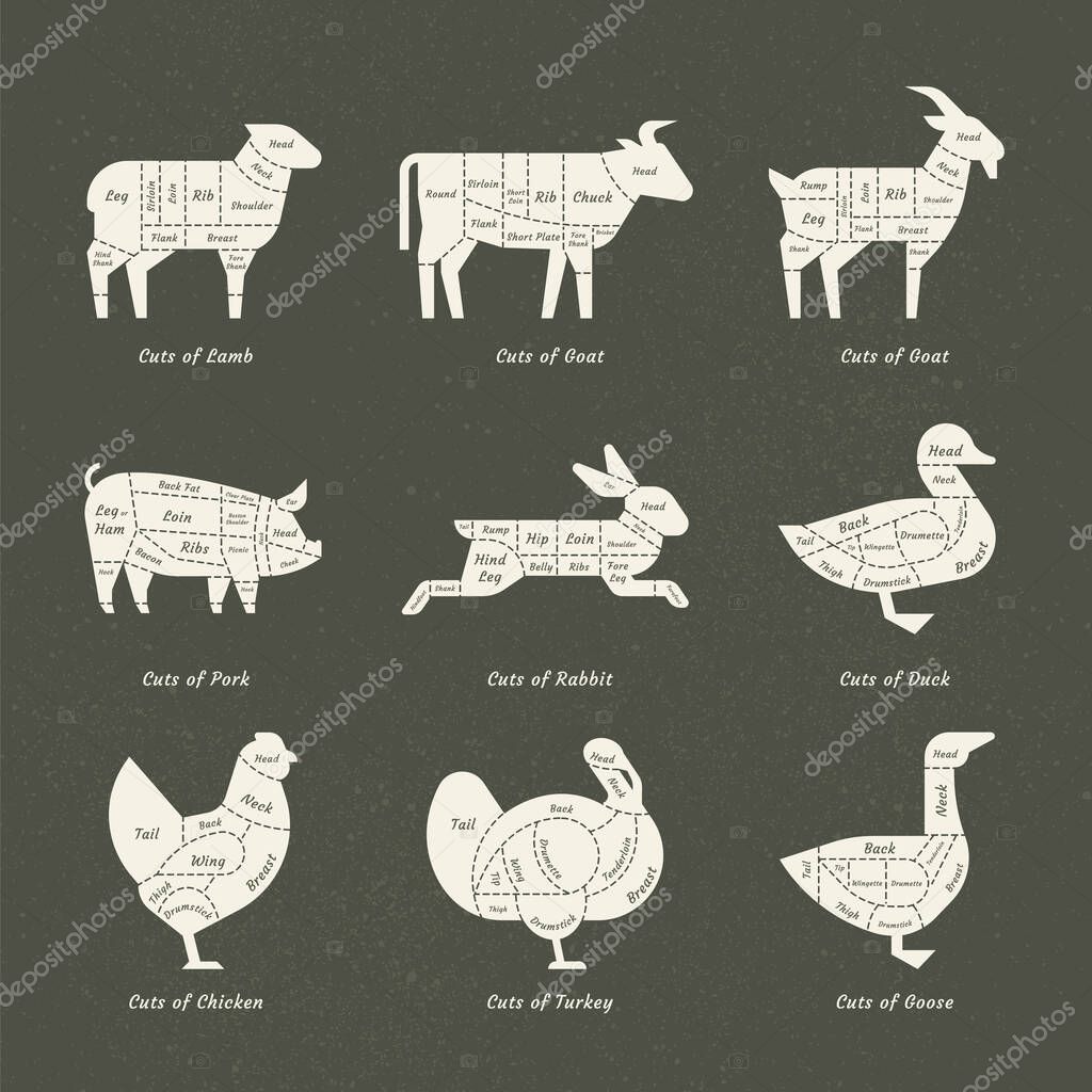 Set of butchery logo. Farm animals silhouettes collection for groceries, meat stores, packaging, and advertising. Beef, pork, chicken, milk labels. Vector illustration.