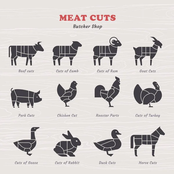 図ヴィンテージスタイルで肉をカットするためのガイド。ヴィンテージレストラン肉メニューテンプレート. — ストックベクタ