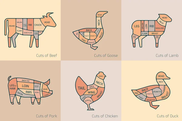 肉屋やレストランのメニューのための家畜牛 ガチョウ 鶏やアヒルの肉の切断のベクトルイラスト — ストックベクタ