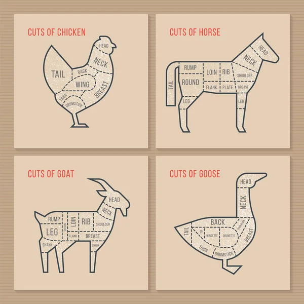 Vector Scheme Cuts Chicken Horse Goat Goose Hand Drawn Illustration — ストックベクタ