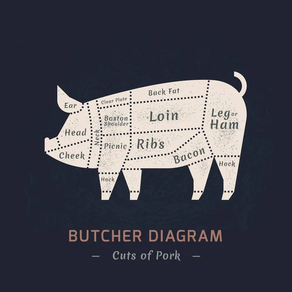 Corte de carne de porco pintada em um vetor . —  Vetores de Stock