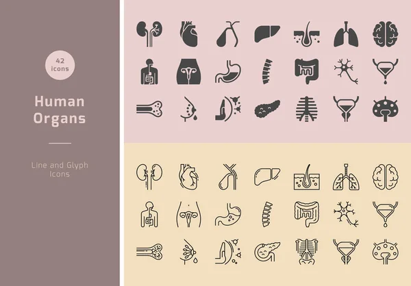 Gran conjunto de iconos vectoriales lineales de órganos humanos con firmas . — Vector de stock