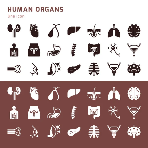 Conjunto de ícones vetoriais de órgãos humanos internos em um estilo glifo isolado . — Vetor de Stock