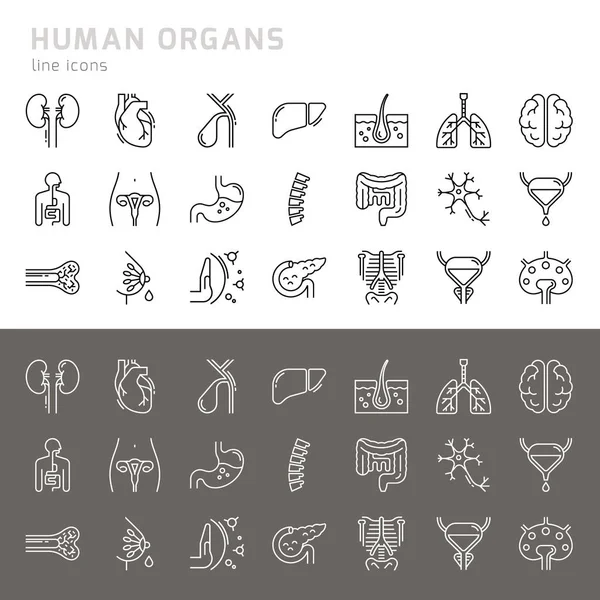 Conjunto de iconos vectoriales de órganos humanos internos en un estilo glifo aislado . — Vector de stock