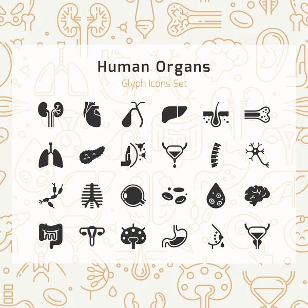 Reihe von Vektorsymbolen interner menschlicher Organe in einem linearen Stil isoliert. — Stockvektor