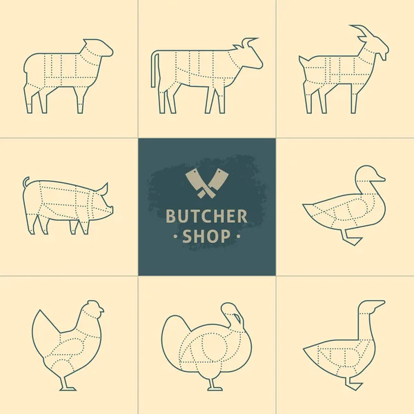Sätt en schematisk bild av djur för slaktaren butiken. — Stock vektor