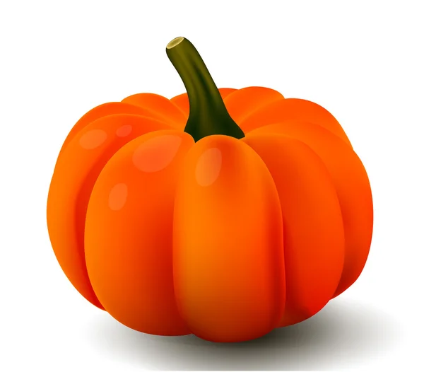 Calabaza aislada sobre fondo blanco. Ilustración vectorial — Vector de stock