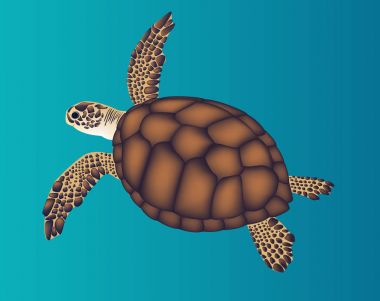 Mavi arka plan üzerinde kahverengi deniz kaplumbağası. Vektör çizim