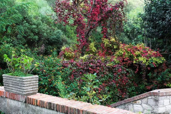 düşen sonbahar yaprakları arka plan