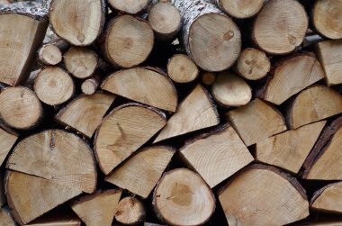 Yakacak odun yığını emretti