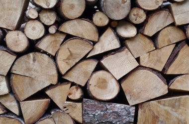 Yakacak odun yığını emretti