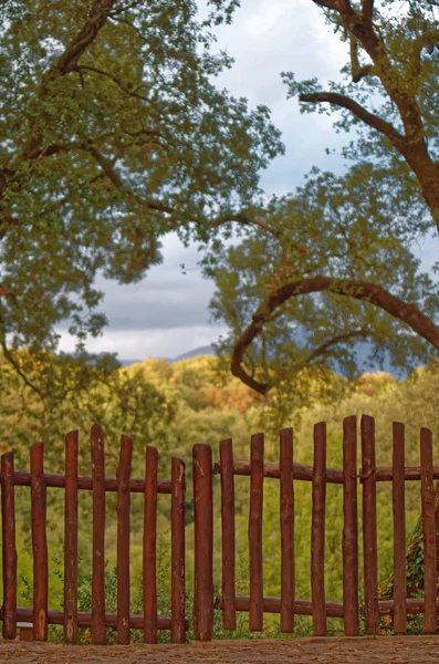 对童话般的乡村神秘景观的木制围栏门 图库照片