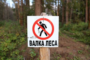 Uyarı işareti Moskova yakınlarındaki bir ormandaki: ağaç Gaze. Moscow region, Rusya Federasyonu.