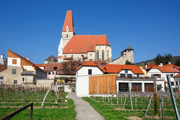 公平与葡萄园在前景中德瓦豪镇中心自治市。较低的奥地利. — 图库照片