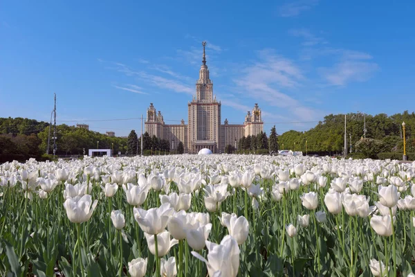 Lomonosov Moscow State University e Universitetskaya quadrado na frente dele. Moscou, Rússia . — Fotografia de Stock