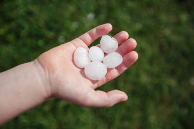 Large hail on the child's palm. clipart