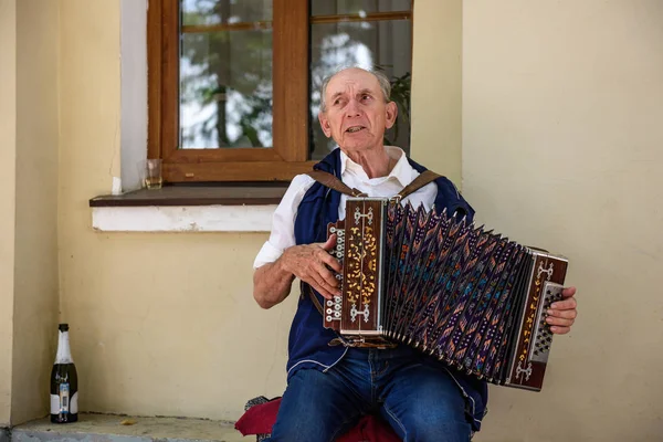 Rus akordeon kayıt ofisi önünde oynayan yaşlı bir adam. Suzdal, Rusya Federasyonu.