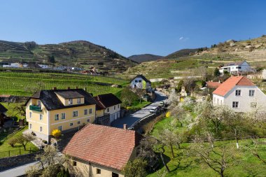 Küçük köy, Weissenkirchen-içinde-der-Wachau. Wachau Vadisi, aşağı Avusturya.