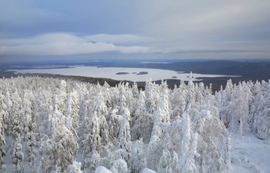 Snowy orman Panoraması. Ural Dağları, Rusya Federasyonu