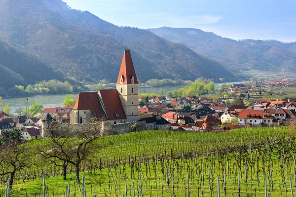 Güzel küçük köy, Weissenkirchen-içinde-der-Wachau. Aşağı Avusturya.
