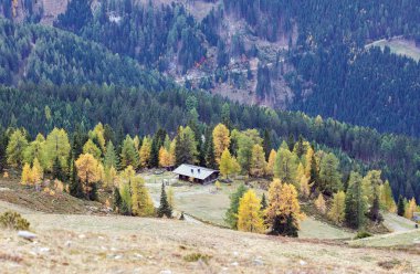 Alpler sonbaharda. Carinthia, Avusturya