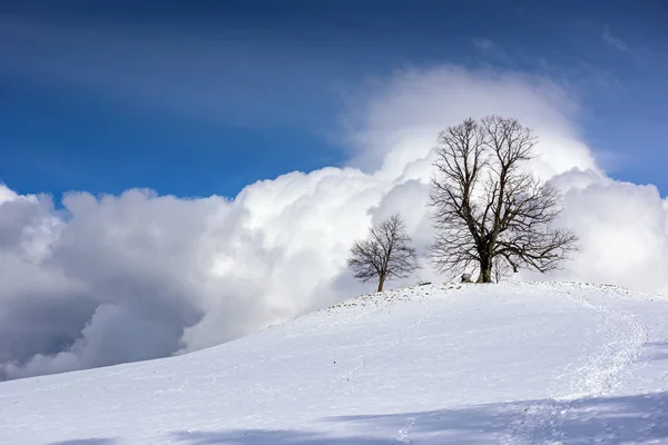 Schneebedeckte Berge an einem sonnigen Wintertag — Stockfoto