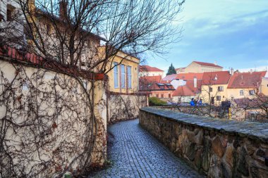 Gözlem güverteden eski şehrin görünümü. Znojmo, Çek Cumhuriyeti.