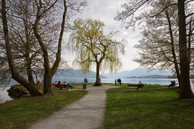İlkbaharda göl Zug kıyısında Villette park. Cham kasaba, Zug, İsviçre.