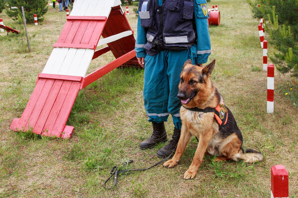 Search-and-rescue dog with its handler on the dog training ground. Noginsk Rescue Center, Moscow region, Russia.
