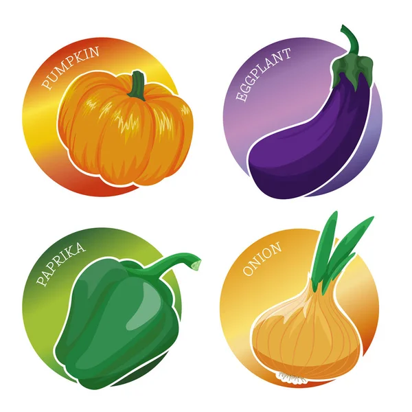 Conjunto de pegatinas con verduras: calabaza, berenjena, pimentón, oni — Vector de stock