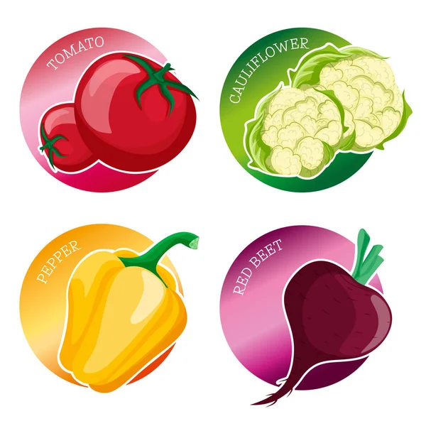 Aufkleberset mit Gemüse: Tomate, Blumenkohl, Paprika, B — Stockvektor